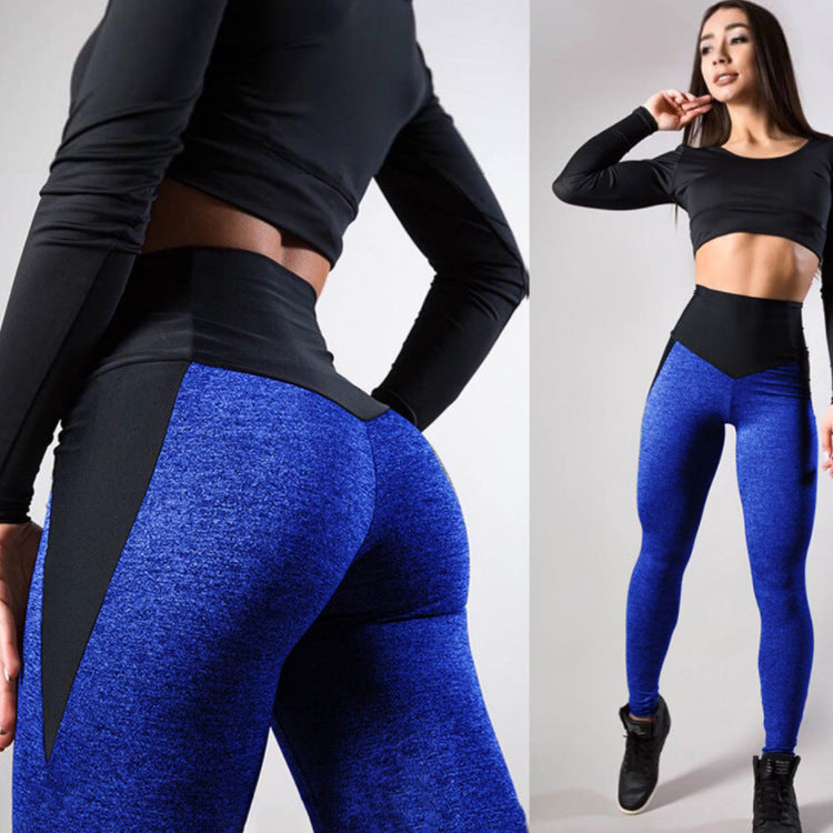 GlowFit & Co.