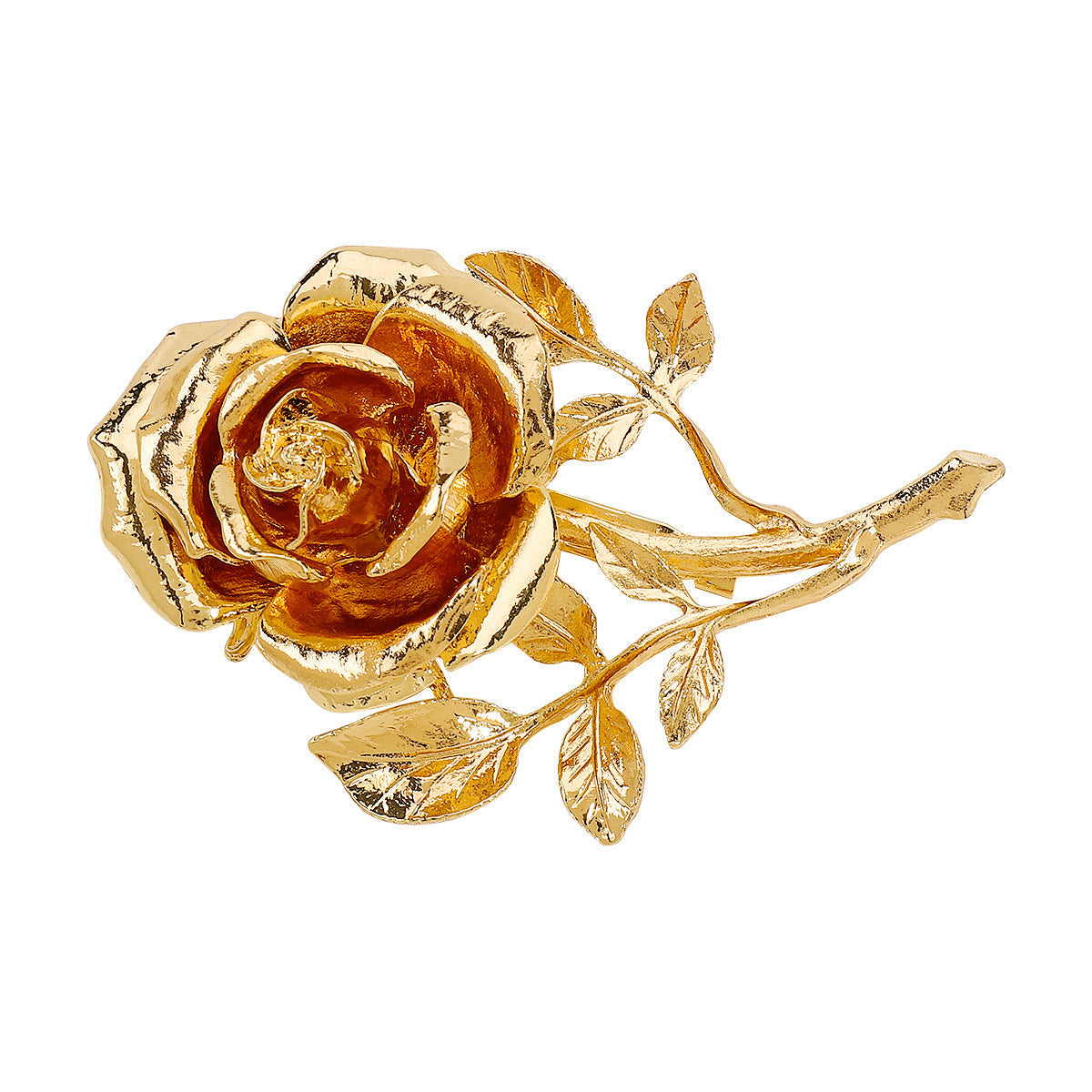 Brooch Lab